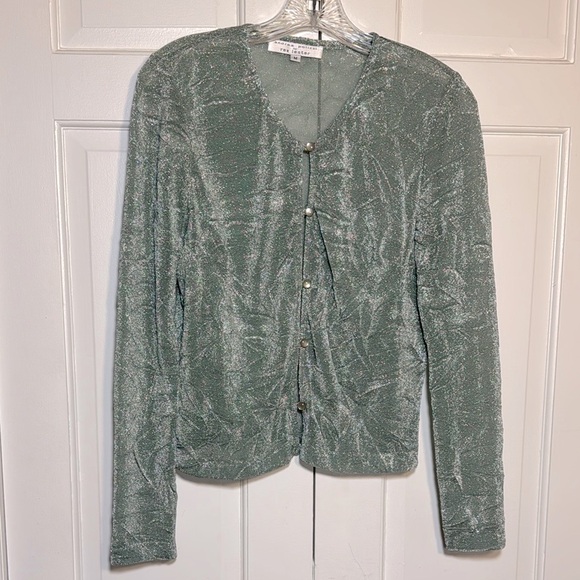 EUC Elegant Andrea Polizzi Silver Shimmering Long Sleeve Button Down Top Size M - Picture 1 of 7